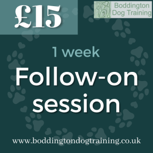 Single Follow-on Session