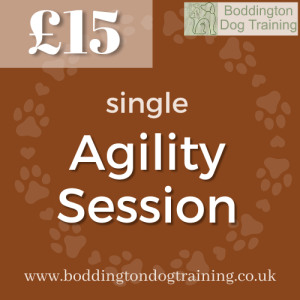 Agility one to one session